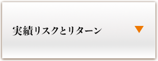 実績リスクとリターン